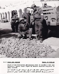 Algerie propagande 097